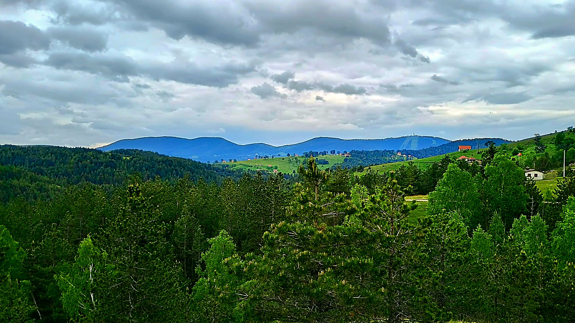 Tornik mountain view from Kobilja Glava, Zlatibor