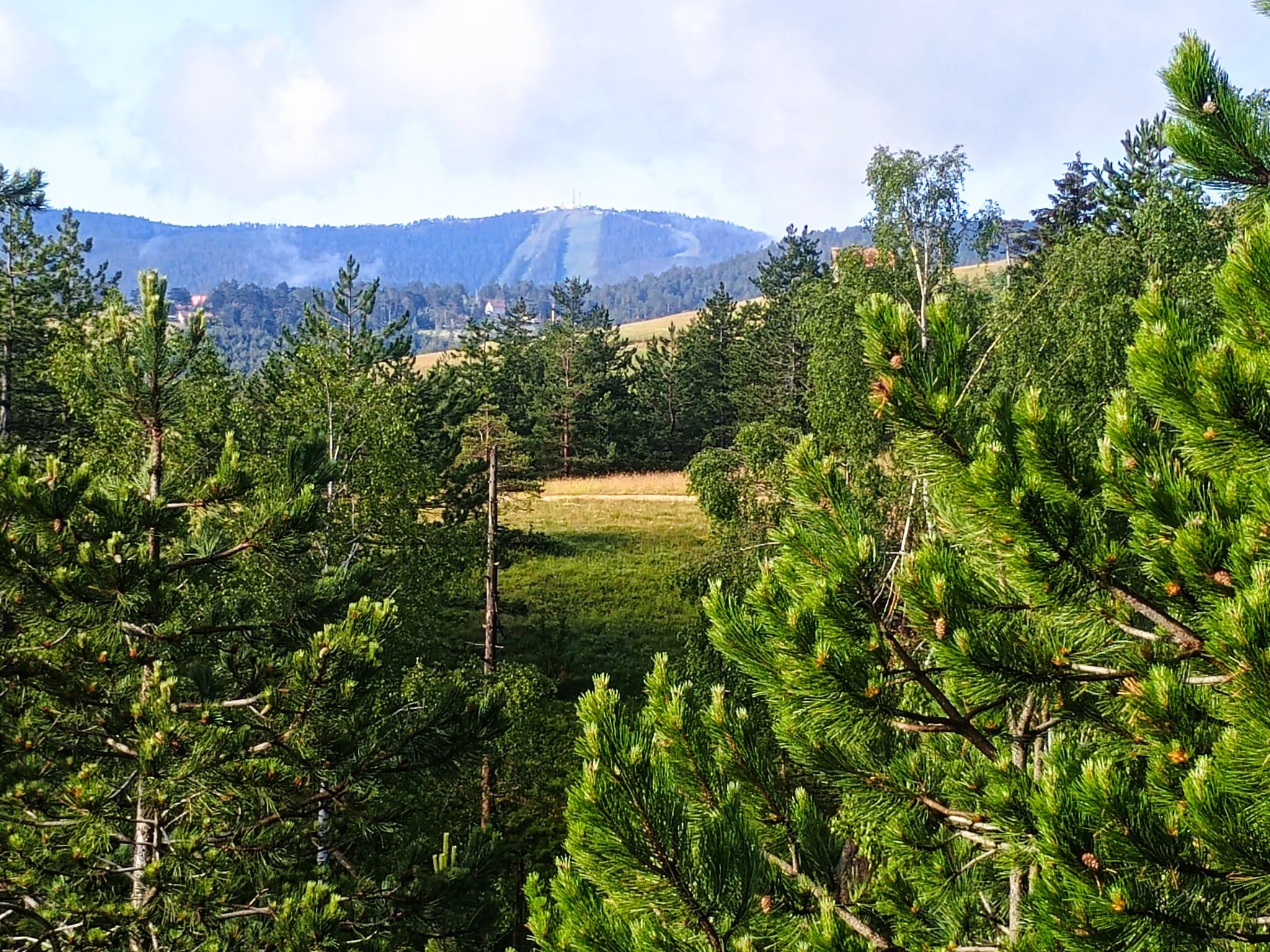 Tornik mountain view from Kobilja Glava, Zlatibor